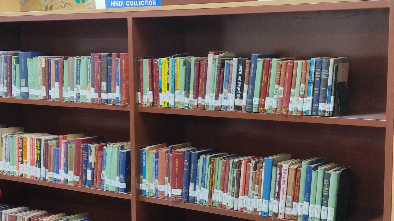 Hindi fictional reads