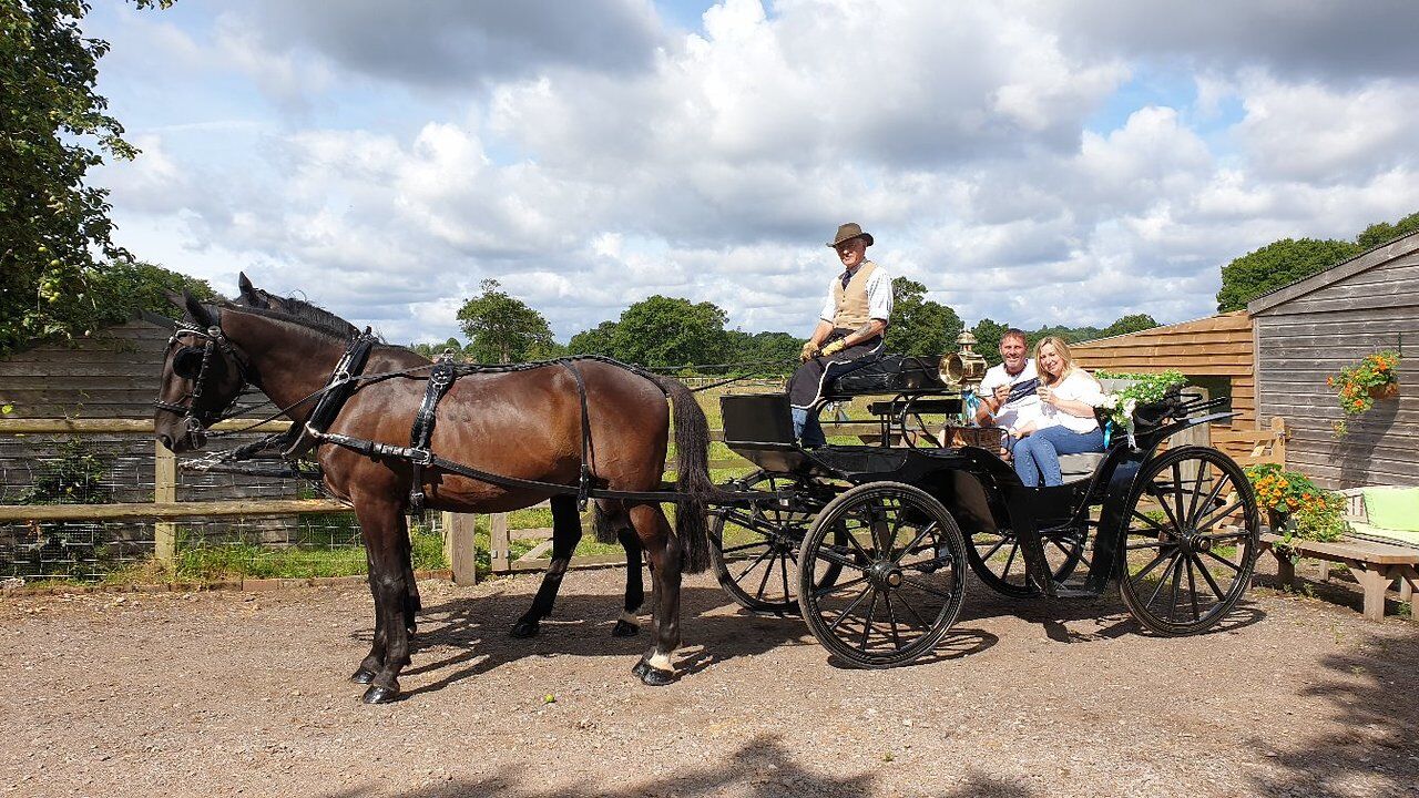 horse drawn carriage