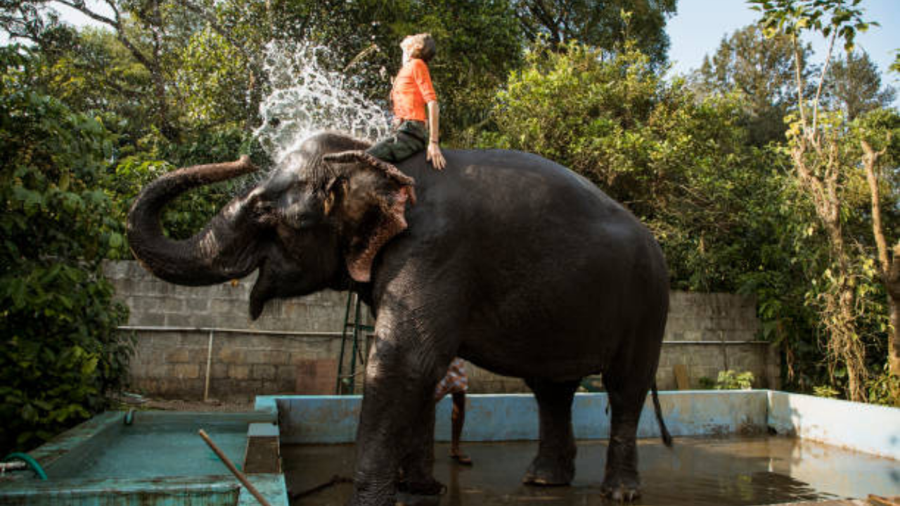 Colleges for Zoology in India