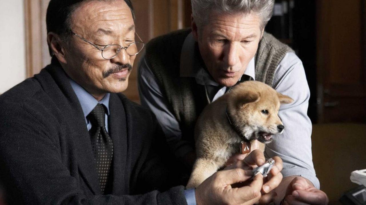 Movies For Animal Lovers In India