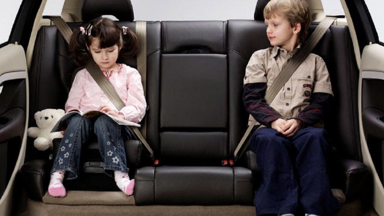 wear a seat belt
