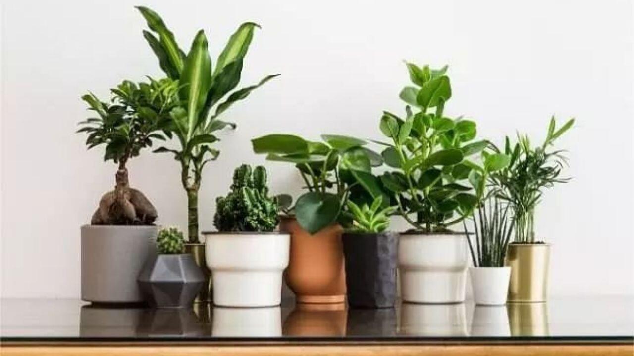 Oxygen Plants