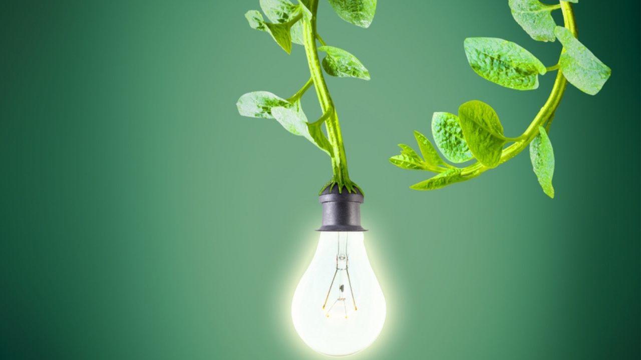 Electricity