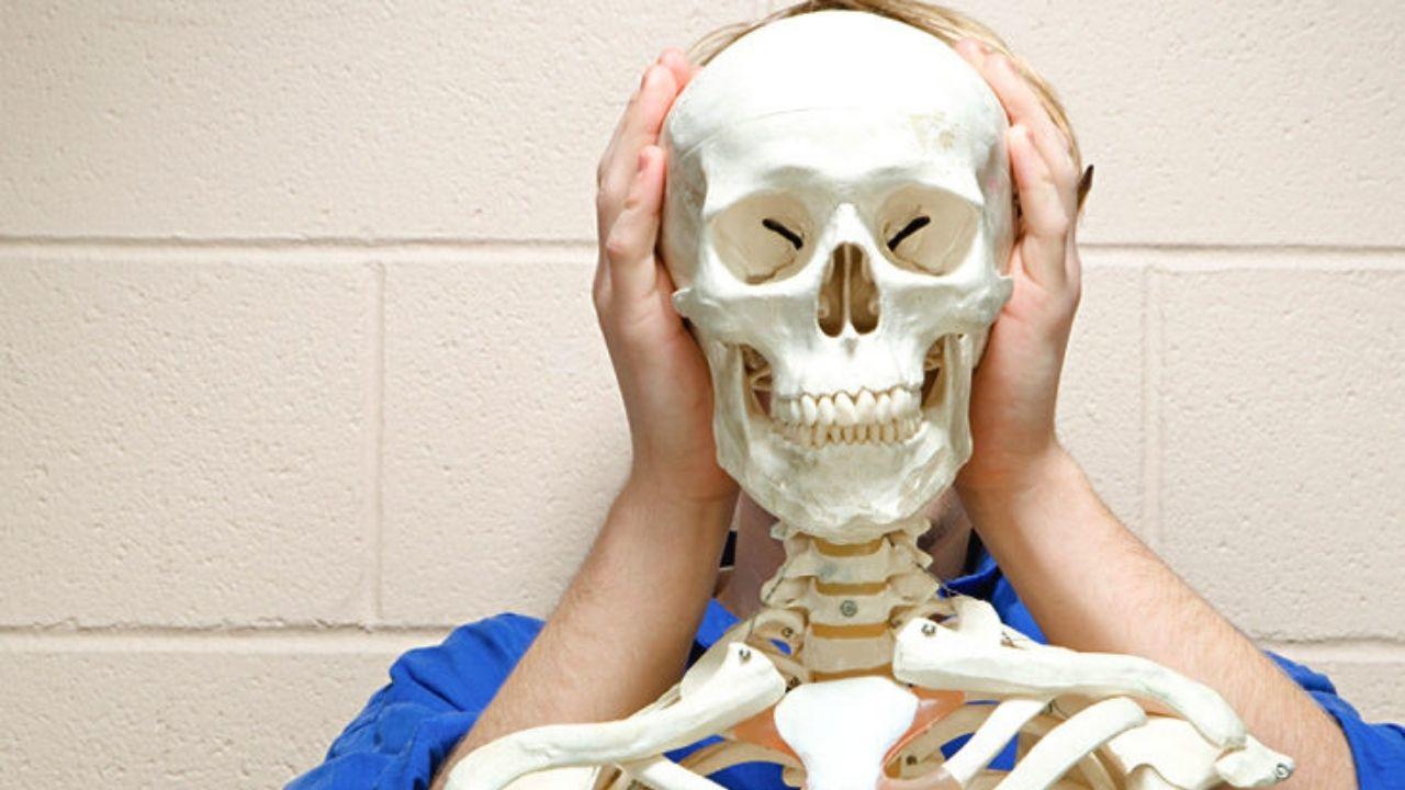Bones