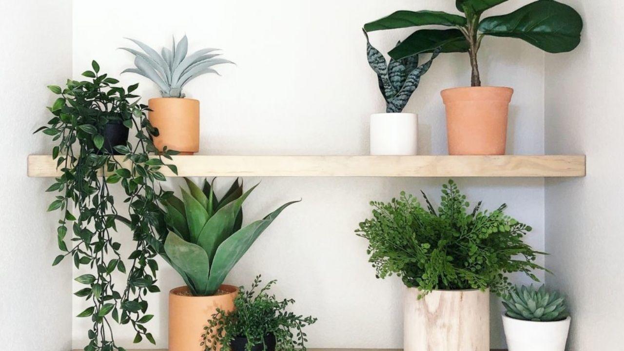 artificial plants